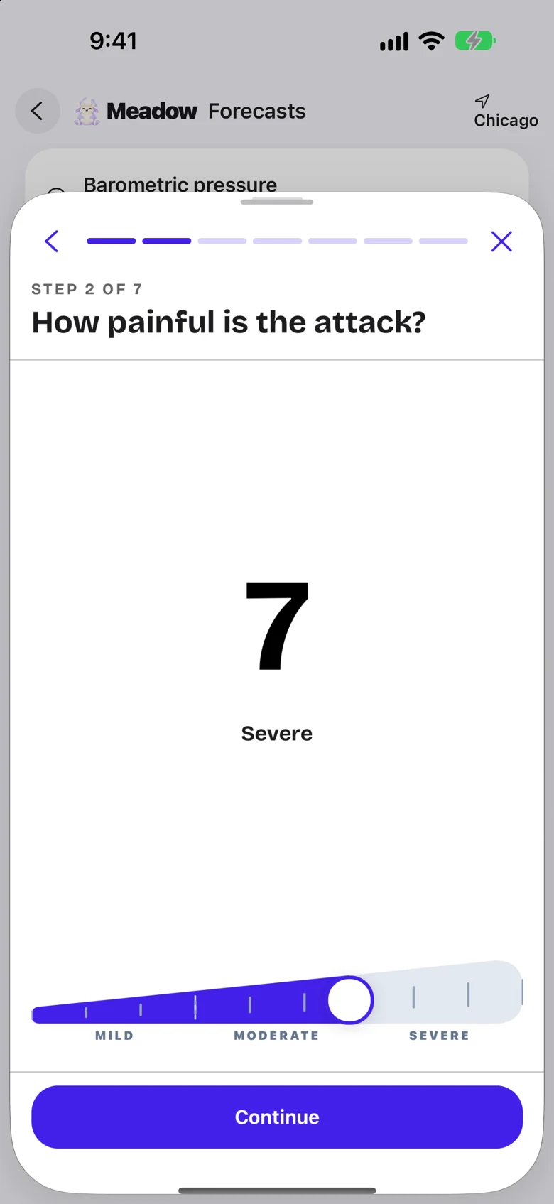 Meadow attack journal showing pain level, symptoms, and timing